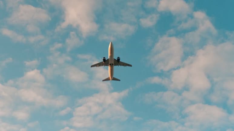 Over 500 From Andhra Pradesh Stranded In Middle East Return To India