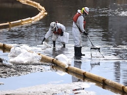 "Catastrophe": A Major Oil Spill In US' California Results In Dead Fish Piling "Catastrophe": A Major Oil Spill In US' California Results In Dead Fish Piling