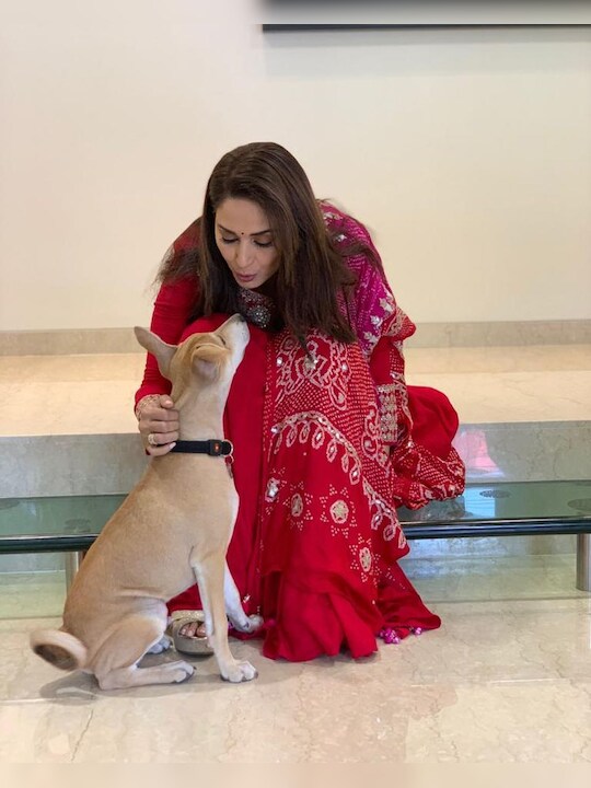 Staying 'Pawsitive' With Madhuri Dixit