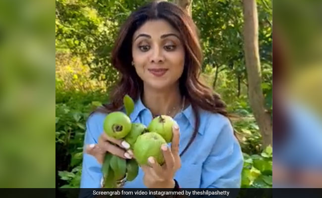 Shilpa Shetty's Sunday Was Made Special By This Fruit