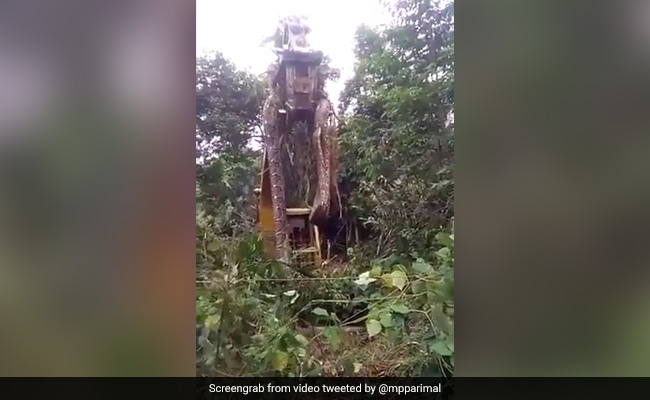 जानिए क्या है ? झारखंड में मिले दुनिया के सबसे बड़े सांप के Viral Video के पीछे की सच्चाई