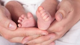Maternal Mortality In Delhi Down From 0.55 In 2019 To 0.44 In 2024: Report