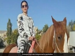 गौहर खान तुर्की में यूं घुड़सवारी करती आईं नजर, एक्ट्रेस का कूल स्टाइल हुआ वायरल गौहर खान तुर्की में यूं घुड़सवारी करती आईं नजर, एक्ट्रेस का कूल स्टाइल हुआ वायरल