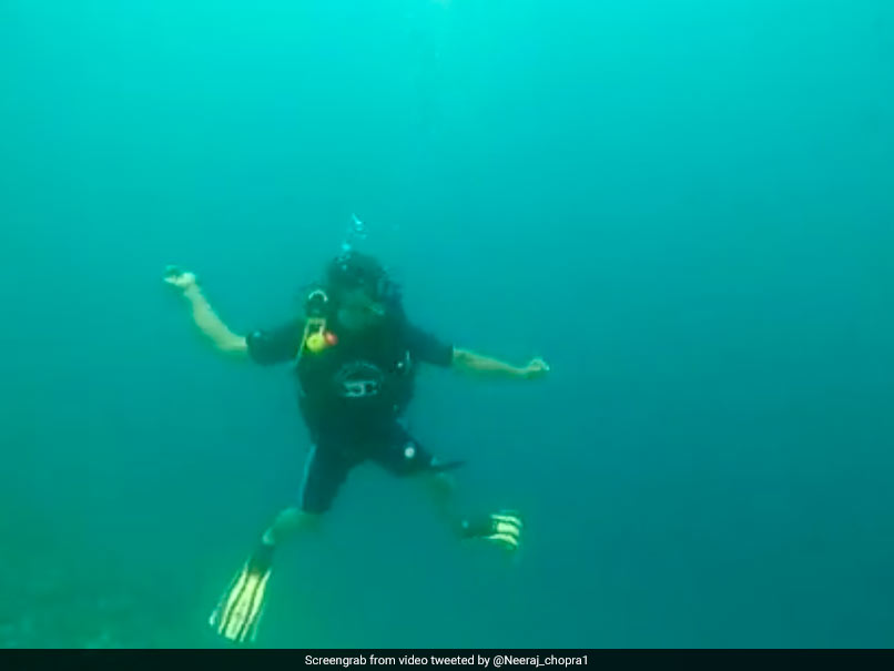 Viral Video: Neeraj Chopra Shadow Practices Javelin Throw Underwater