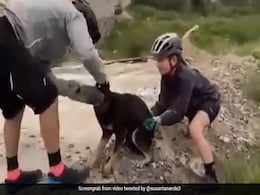 कुत्ते का सिर प्लास्टिक की बोतल में फंस गया, तो राह चलते शख्स ने ऐसे निकाला बाहर, लोगों ने की जमकर तारीफ - देखें Video कुत्ते का सिर प्लास्टिक की बोतल में फंस गया, तो राह चलते शख्स ने ऐसे निकाला बाहर, लोगों ने की जमकर तारीफ - देखें Video