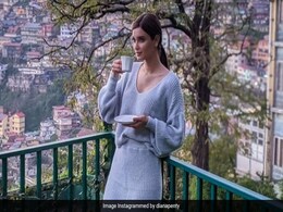 Diana Penty शिमला की पहाड़ियों के बीच यूं चाय की चुस्कियां लेती आईं नजर, तस्वीरें हुई वायरल Diana Penty शिमला की पहाड़ियों के बीच यूं चाय की चुस्कियां लेती आईं नजर, तस्वीरें हुई वायरल