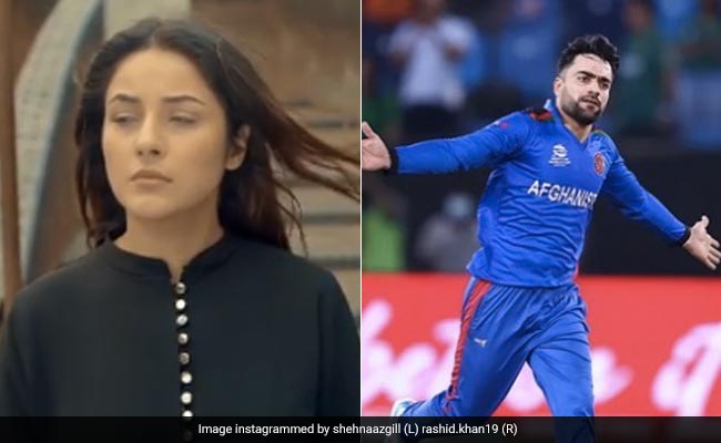लेटेस्ट वीडियो में शहनाज गिल को इमोशनल देख भावुक हुए क्रिकेटर राशिद खान, बोले- 'अल्लाह आपको ताकत दे'