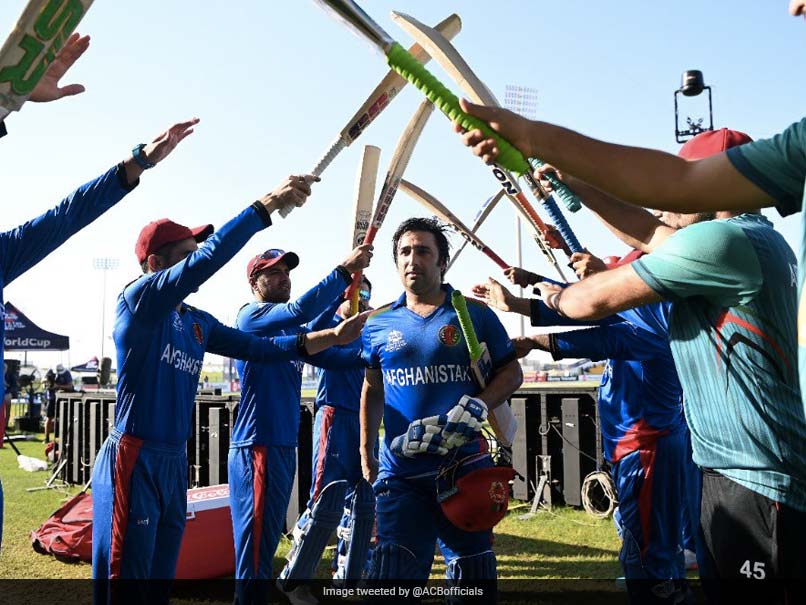 T20 World Cup: Afghanistan's Asghar Afghan Receives 'Guard Of Honour' From His Teammates. Watch