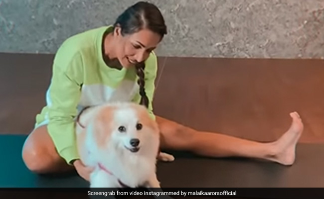 It's Always "Playtime" For Malaika Arora When Her Pet Pooch Is Around