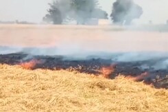 Farmers In Punjab Burn Stubble, Say Not Left With Any Choice Farmers In Punjab Burn Stubble, Say Not Left With Any Choice