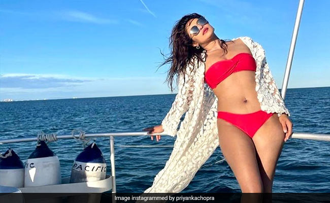 "Damn Girl": Nick Jonas' Fiery Comment On Priyanka Chopra's "Perfect Day Off" Pics From Spain