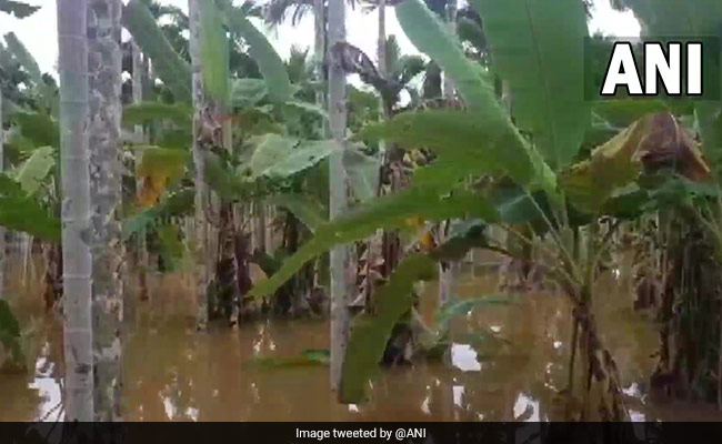 Two Children Die As Heavy Rains Hit Kerala