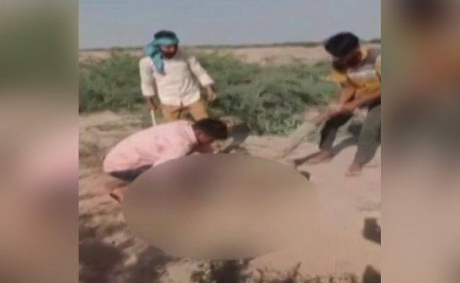 On Camera, Dalit Man Beaten To Death Over Love Affair In Rajasthan