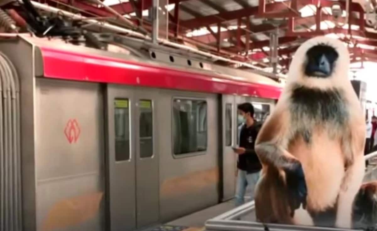 Latest and Breaking News on NDTV