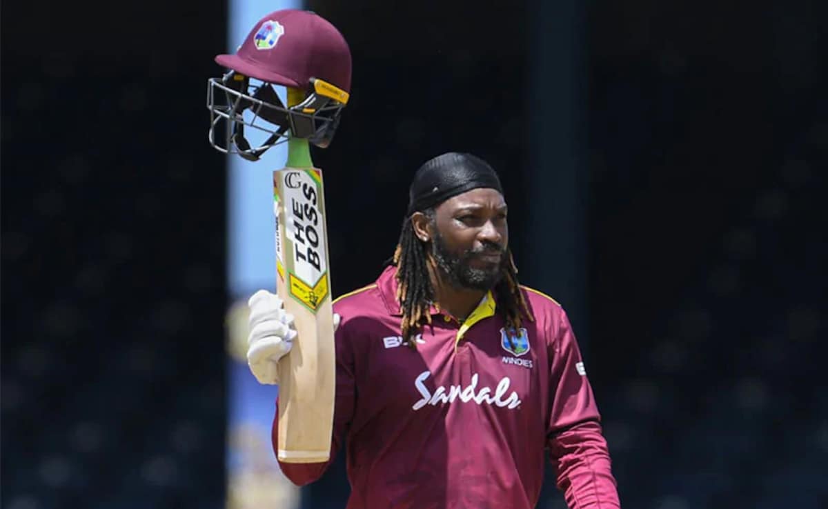 West Indies Champions Target Semi-Final Spot Against India Champions In WCL Clash