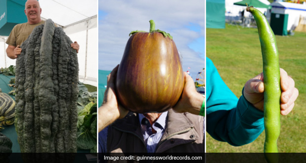 Egg Plant, Leek And More: 4 Vegetables That Broke Records At Giant Vegetable Championship