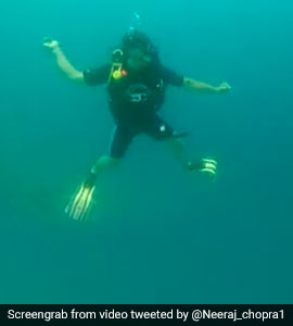 Viral Video: Neeraj Chopra Shadow Practices Javelin Throw Underwater