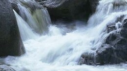 Man Missing After Falling 150 Feet Down From Waterfall In Rajasthan, Rescue Operation Underway