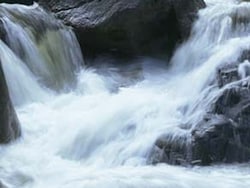 4 Children Of A Family Die Days After Visiting Madhya Pradesh Waterfall, Probe On