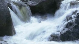4 Children Of A Family Die Days After Visiting Madhya Pradesh Waterfall, Probe On