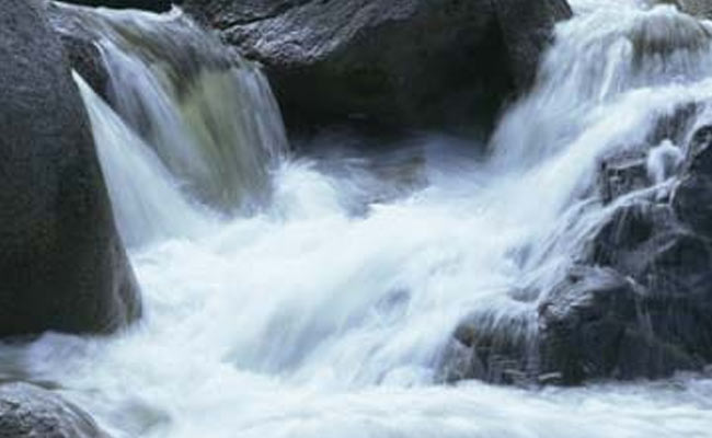 Four Children Die After Visiting Waterfall in Madhya Pradesh; Investigation Underway