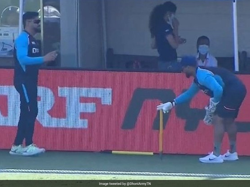T20 World Cup: MS Dhoni Gives Keeping Lessons To Rishabh Pant In Dubai. Watch