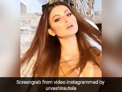 हवा में उड़ती जुल्फों के साथ उर्वशी रौतेला ने शेयर किया Video, फैन्स बोले- उफ्फ! क्या अदा है...