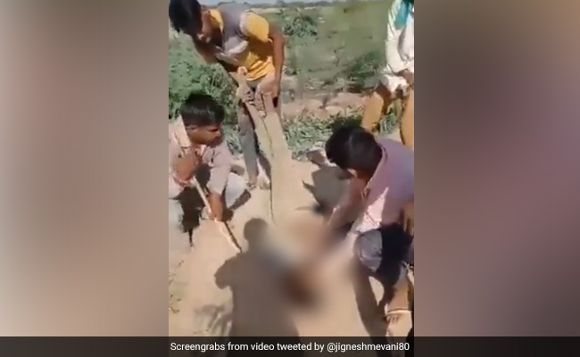 "Barbarism": Jignesh Mevani Tweets Outrage On Rajasthan Dalit Murder