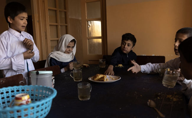 "World Doesn't Realise...": UN Agency Sounds Alarm On Afghan Food Crisis