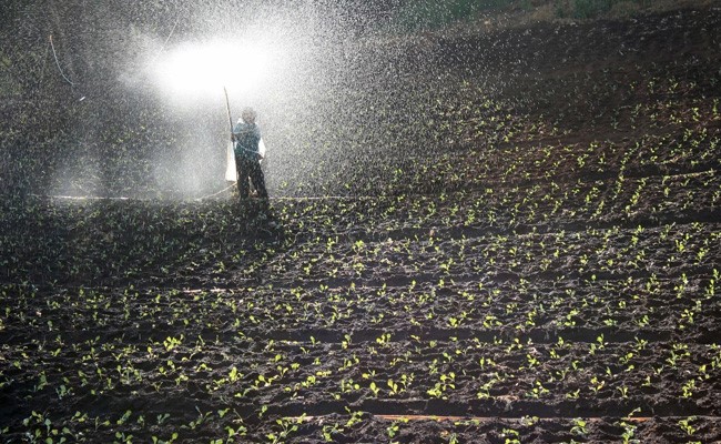 India Imported 23.4 Lakh Tons Of Fertiliser In October