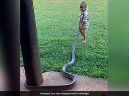 Watch: TV Host Allows Son, 2, To Get Dangerously Close To Giant Snake Watch: TV Host Allows Son, 2, To Get Dangerously Close To Giant Snake