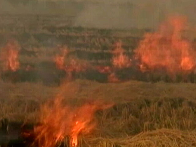 Farm Fires At Record High In Last 5 Years