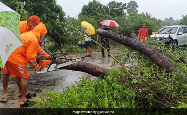From People To Snakes, Rescue Galore In Tamil Nadu Amid Intense Rains