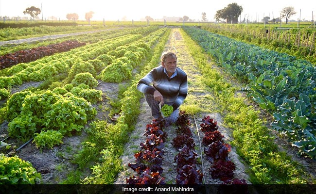दिल्ली की हवा होगी बिल्कुल साफ़, इस कंपनी ने 'पराली' से 'कंपोस्ट' बनाने की तकनीक की विकसित