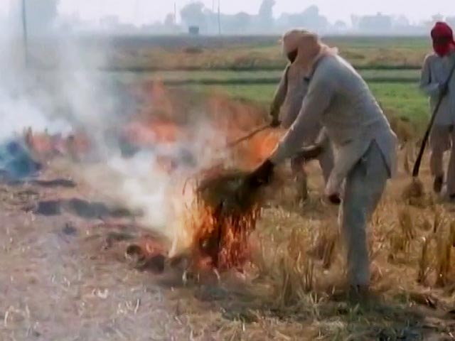 Crop Stubble Burning Reaches Its Peak In Punjab