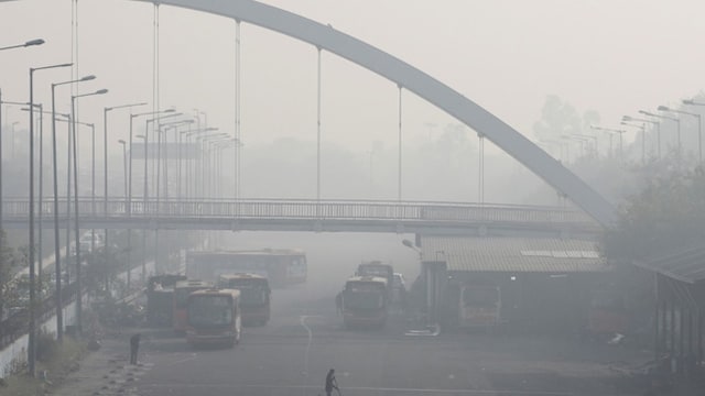 Children are more likely to catch respiratory problems as compared to adults