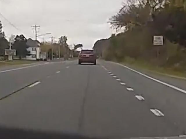Watch: Deer's Jaw-Dropping Leap While Crossing Road