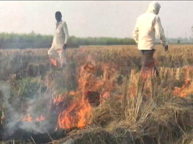 Farm Fires Account For 10% Of Delhi Pollution, Centre Tells Supreme Court