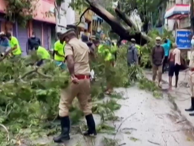 Trees, Roads, Economy: Chennai Counts Its Losses After Rain Fury