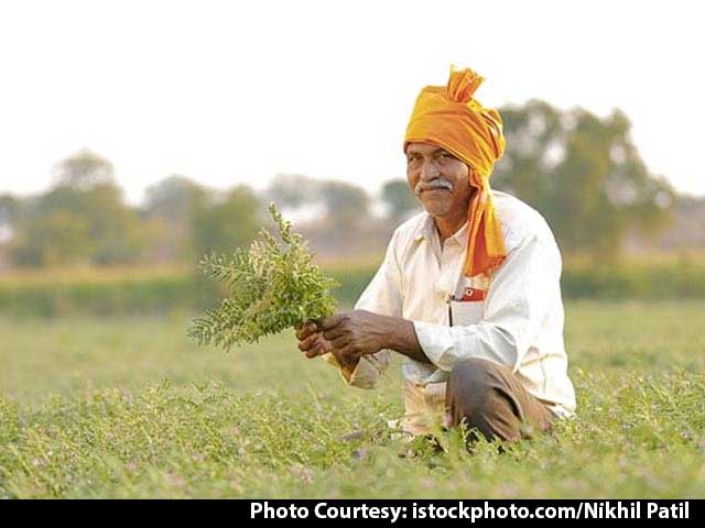 How Climate Finance Helps In Mitigating Impacts Of Global Warming On Food Systems