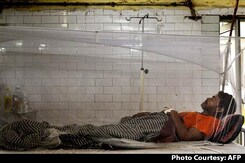 "Big Rise In Organ Failures" Due To Dengue As Cases Spike In Delhi "Big Rise In Organ Failures" Due To Dengue As Cases Spike In Delhi