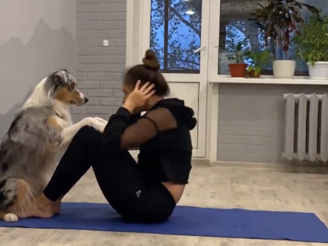 Working Out With Your Dog