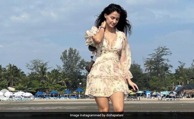 Tiger Shroff's Mom Ayesha Is All Hearts For Disha Patani's Beach Pics
