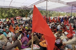"Farm Laws Cancelled, Please Go Home": Agriculture Minister To Farmers "Farm Laws Cancelled, Please Go Home": Agriculture Minister To Farmers