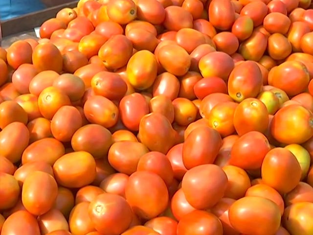 High Tomato Prices Disrupt Household Budgets