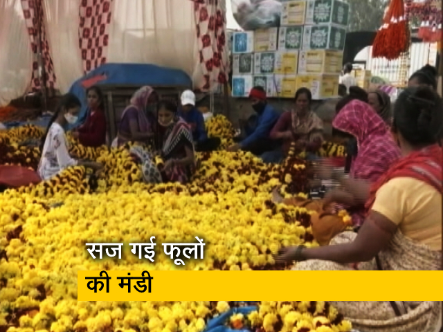 दीवाली पर सजी फूलों की मंडी, मांग के बावजूद व्यापारी-किसान परेशान; देखिए रिपोर्ट...
