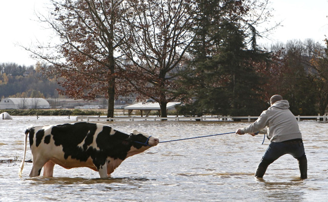 Canada Province Mulls Emergency After Floods, Food Shortages Reported