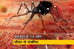 कानपुर में बेकाबू होता जा रहा जीका वायरस का संक्रमण कानपुर में बेकाबू होता जा रहा जीका वायरस का संक्रमण