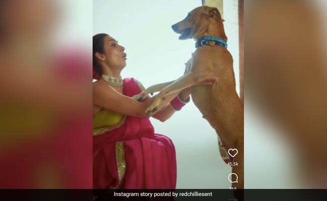Malaika Arora's Video With Pet Pooch Is Just Too Cute