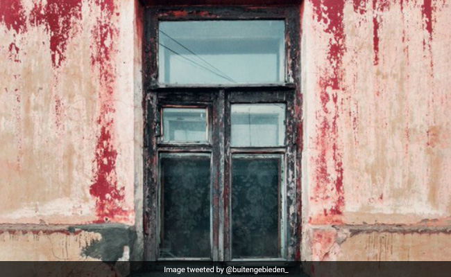 इस तस्वीर में छिपी है बिल्ली, 90% ज्यादा लोग गए चकरा, क्या आपको दिखी?